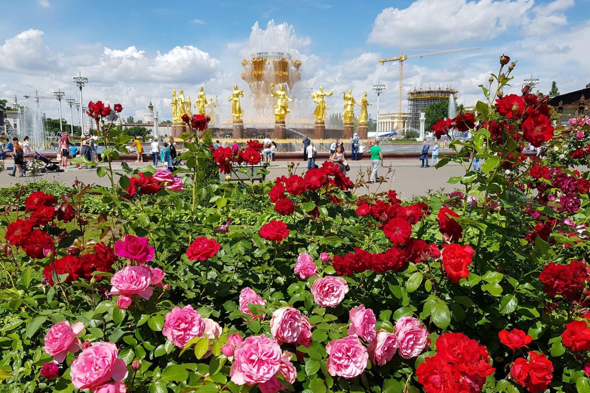 Один день в Москве с посещением ВДНХ (музей Гараж Особого Назначения)