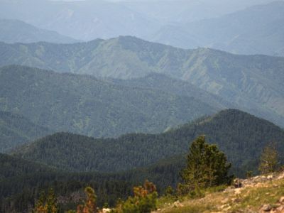 Altai