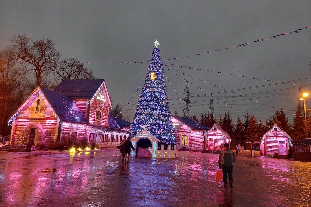 Новогодняя программа  в усадьбе Деда Мороза в Кузьминках Для школьных групп