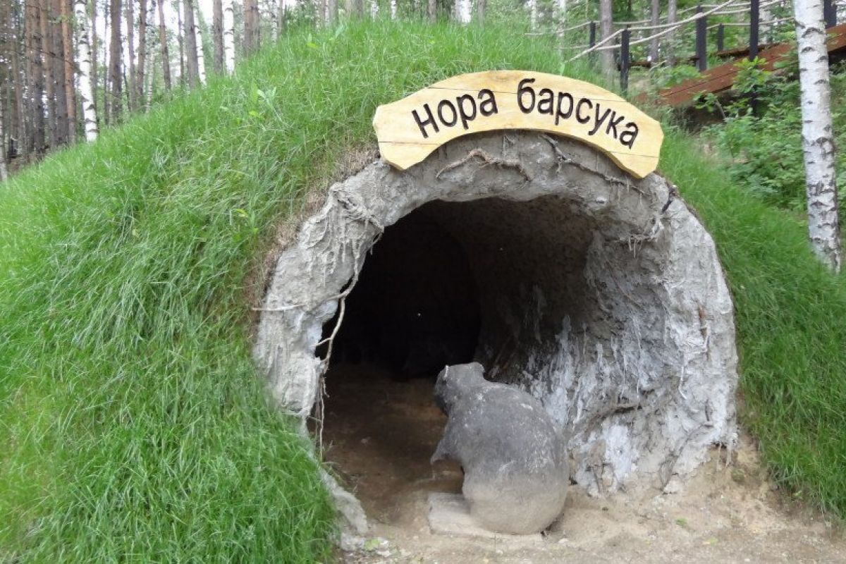 Национальный парк «Лосиный остров» для школьных групп