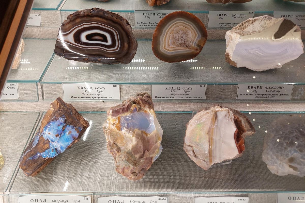 Экскурсия в Минералогический музей Для школьных группы