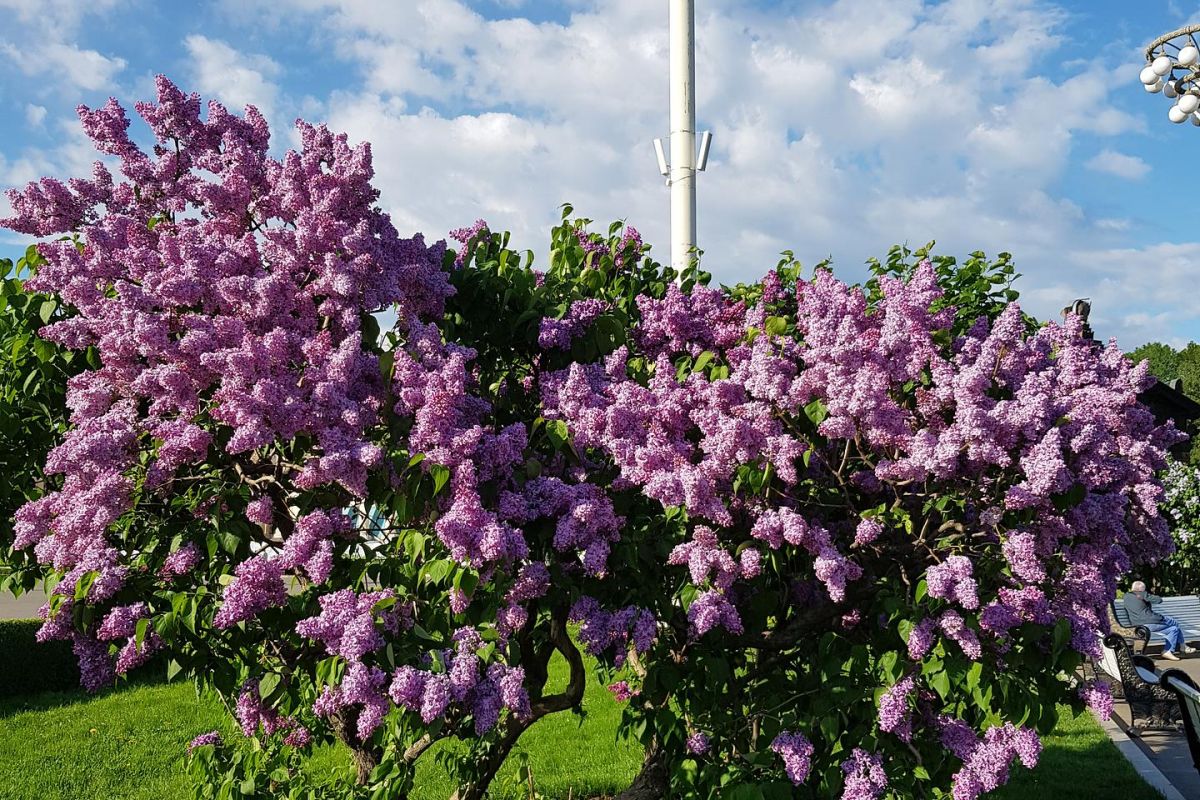 Экскурсия на ВДНХ. Павильон «Космос». Школьники