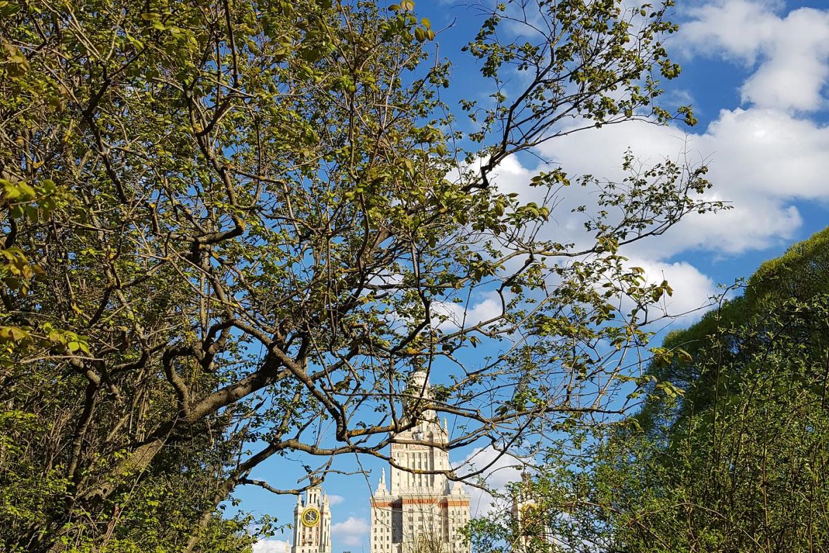 Экскурсия для взрослых групп  «Москва. Лето. Новая География»