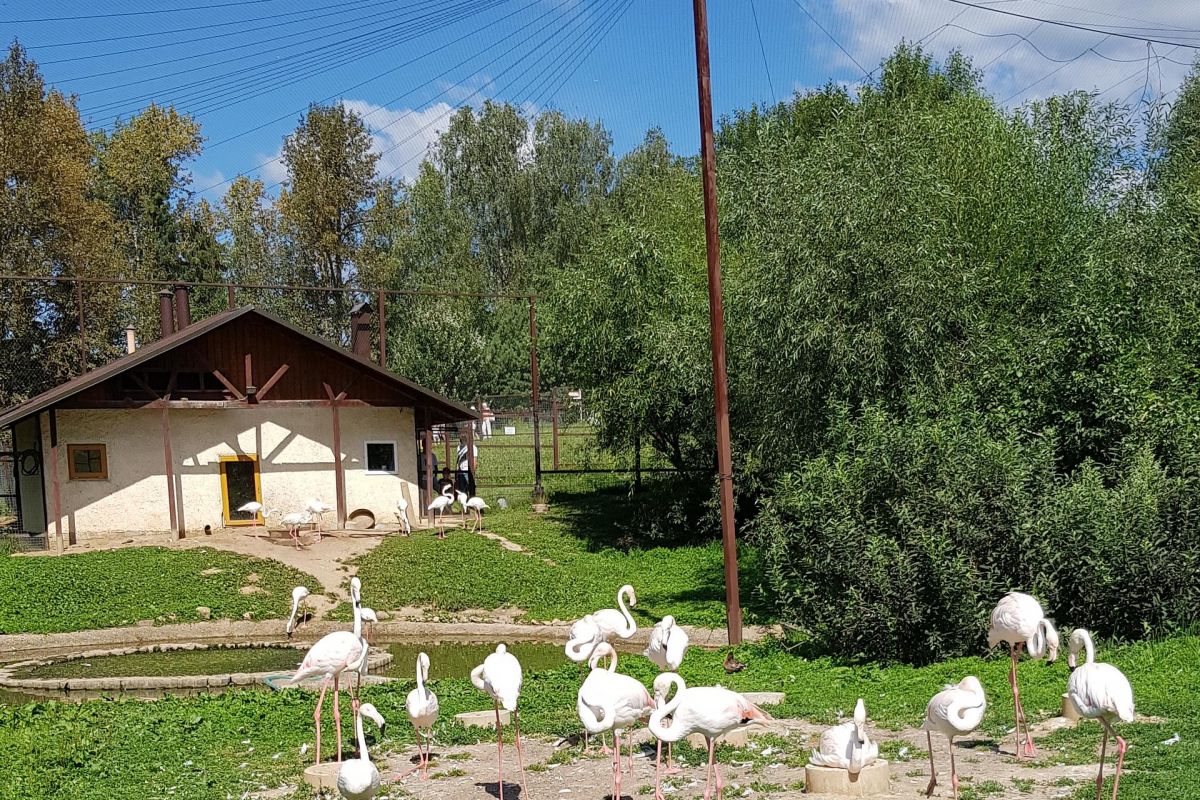 Малоярославец – Парк Птиц