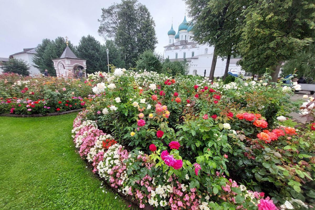Ярославль-Толга. 2 дня. Тур для школьников. с ж/д проездом.