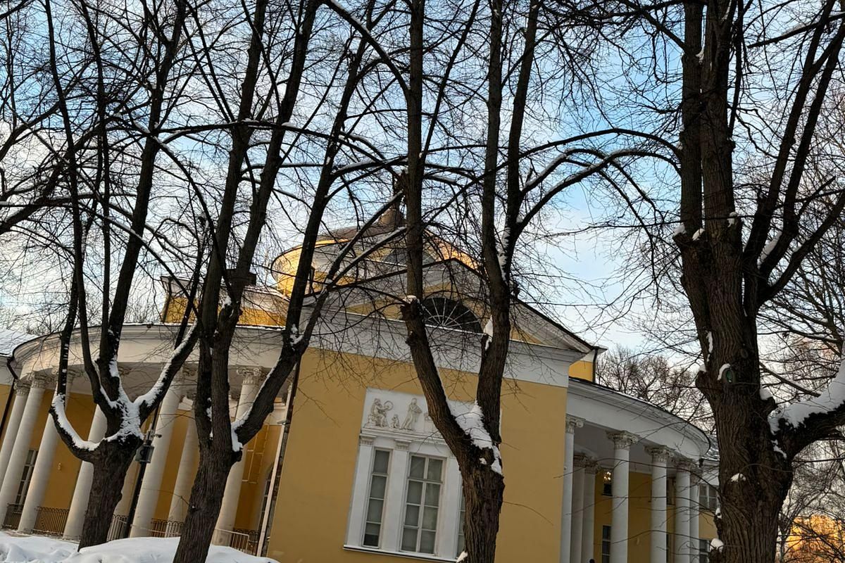 Усадьба Люблино перед Рождеством. Школьная группа старшие классы