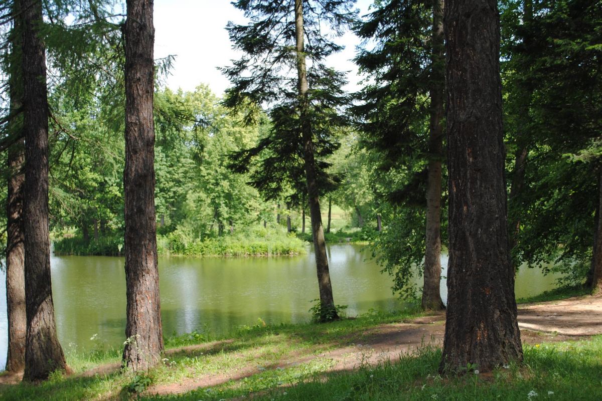 Усадьба Середниково. Группы