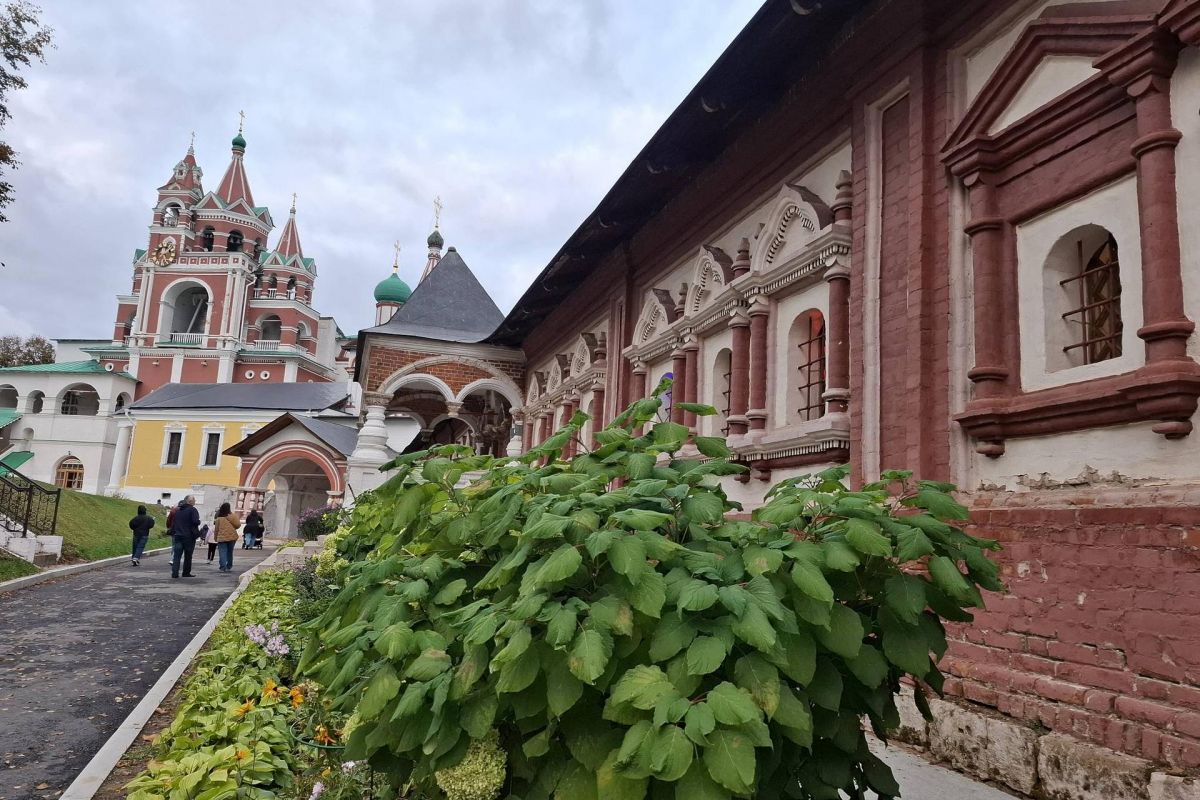 «Один день в Звенигороде». Организованная группа