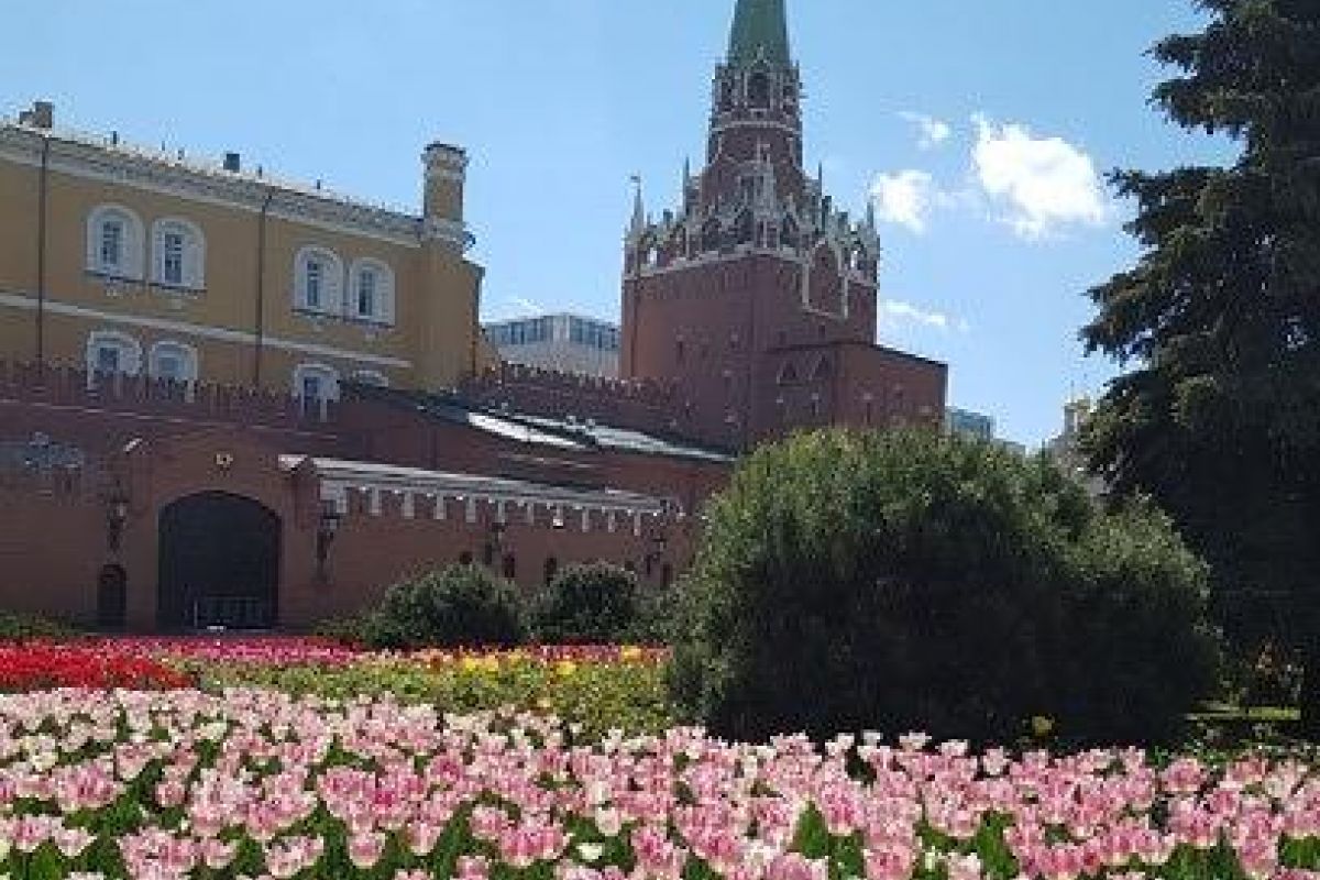 Летние чудеса Москвы с программой в “Мосфильме”. Для школьных групп.