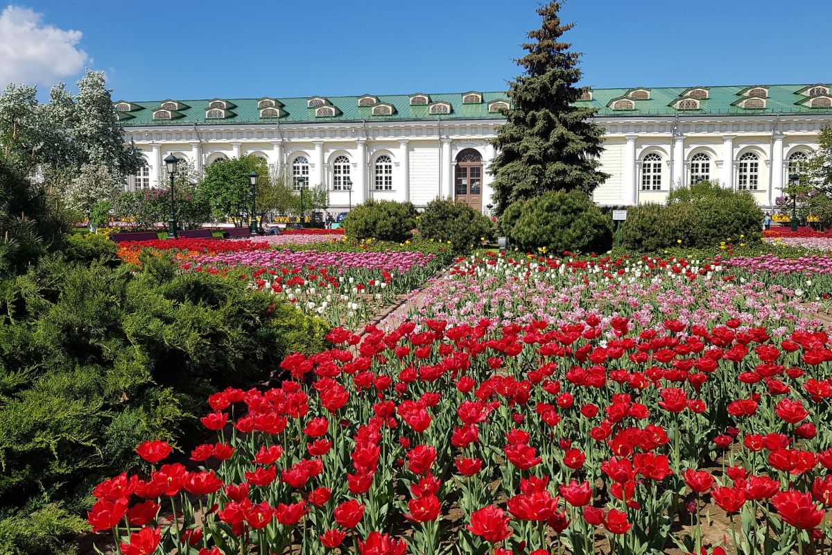Московский калейдоскоп. Программа для школьников.