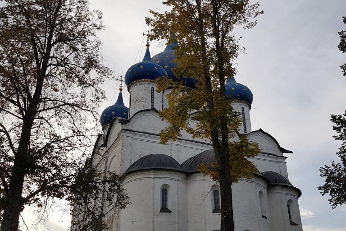 Владимир – Боголюбово – Суздаль. Школьные группы