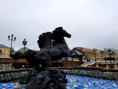 Приём в Москве от 2 дней