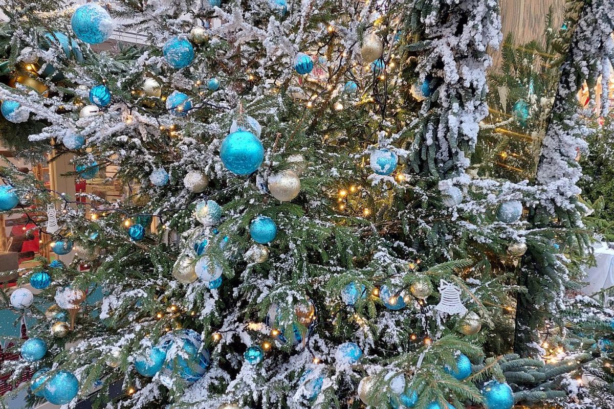 Новогодняя Москва с экскурсией на фабрику шоколадных открытий однодневный эконом-тур с проездом на метро