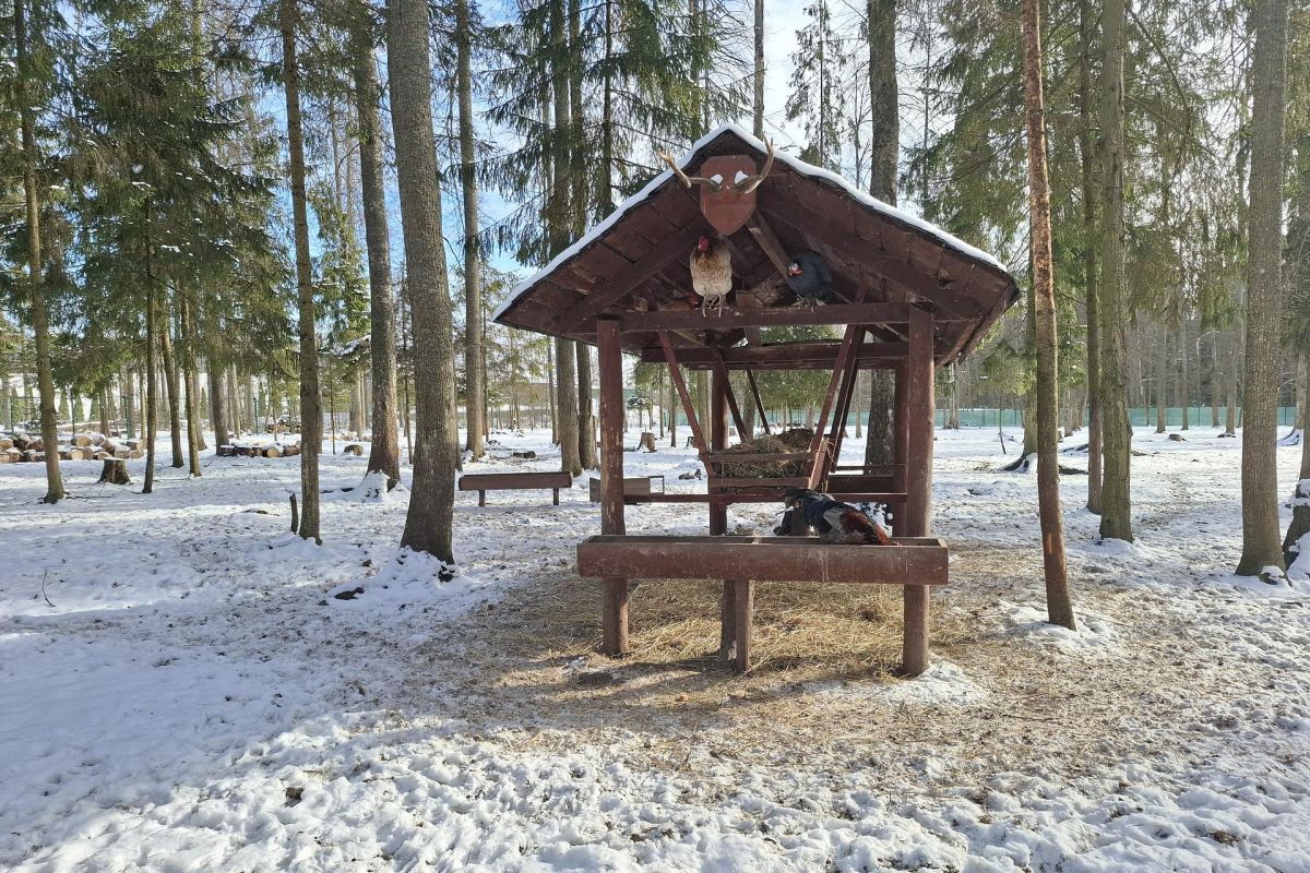 Экскурсия по музейной площадке №1 парка «Патриот» и в Партизанскую деревню Для организованных взрослых групп.