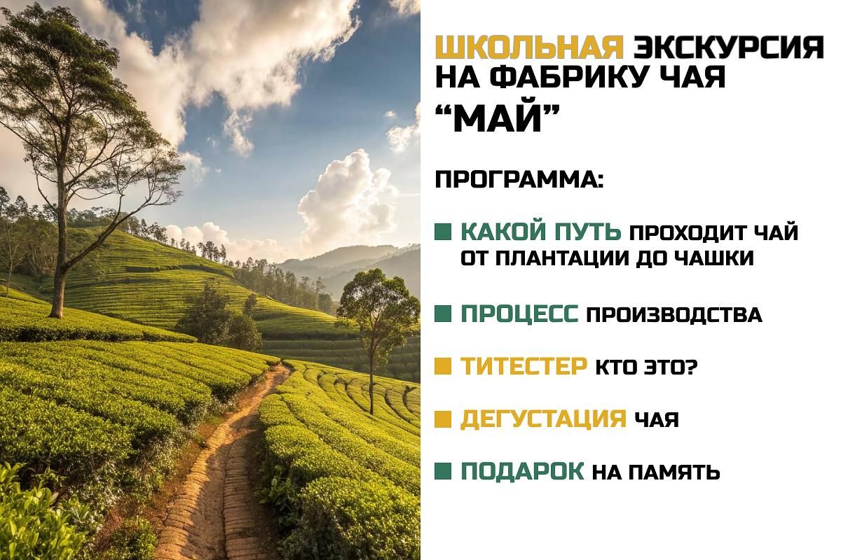 Фабрика чая «Май». Школьники