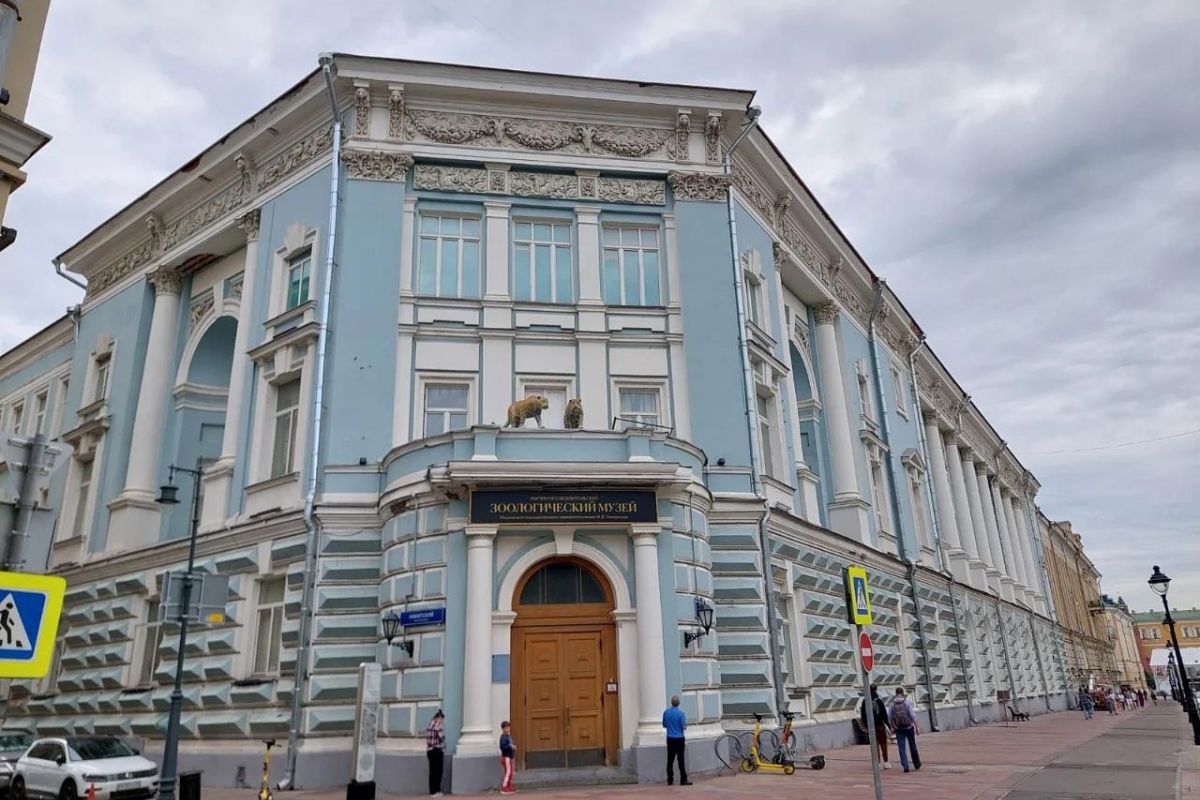 Зоологический музей Для школьной группы