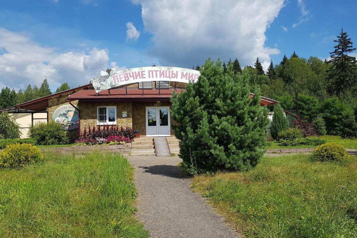 Боровск - парк Птиц.