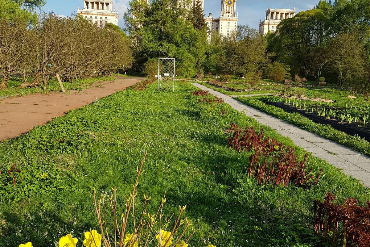 Экскурсионный тур для школьников «Москва. Лето. Новая География»