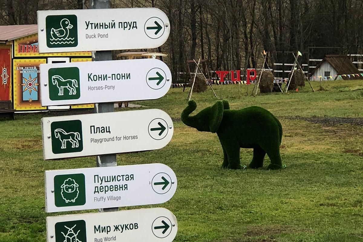 Дмитров + зооферма в Шихово. Школьники