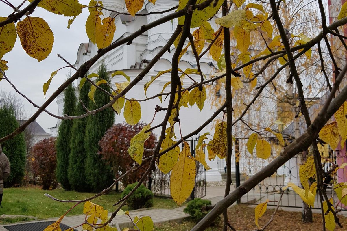 Боровск - парк Птиц.